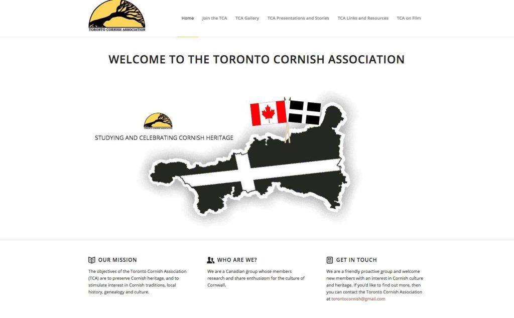 penzance website design